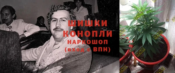 спайс Арсеньев