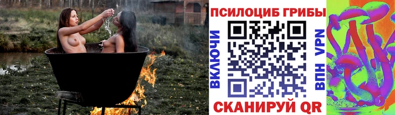 Галлюциногенные грибы Psilocybe  Шумиха 